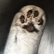 fineart: image 3 0f 4 thumb