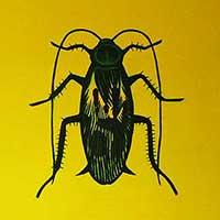 fineart: image 3 0f 4 thumb