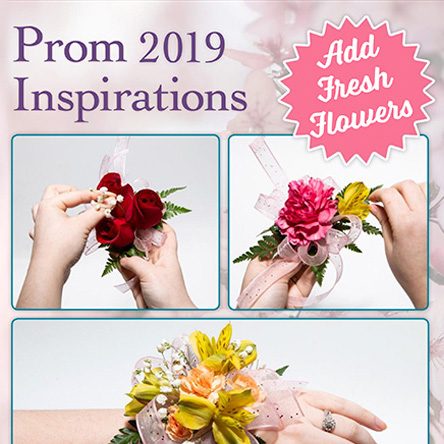 Plants: image 4 0f 4 thumb