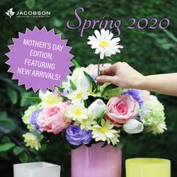 Plants: image 4 0f 4 thumb