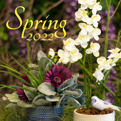 Plants: image 4 0f 4 thumb