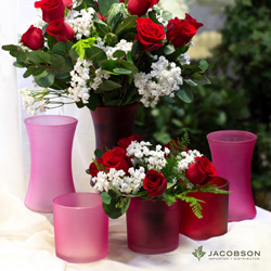 Plants: image 4 0f 4 thumb