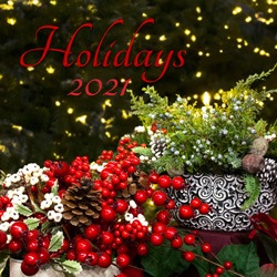 Plants: image 4 0f 4 thumb