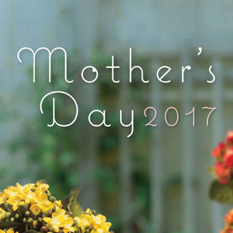 Plants: image 4 0f 4 thumb