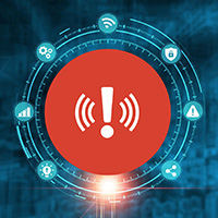 Plants: image 4 0f 4 thumb