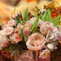 Plants: image 4 0f 4 thumb