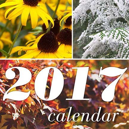 Plants: image 4 0f 4 thumb