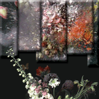 Gersht: image 4 0f 4 thumb